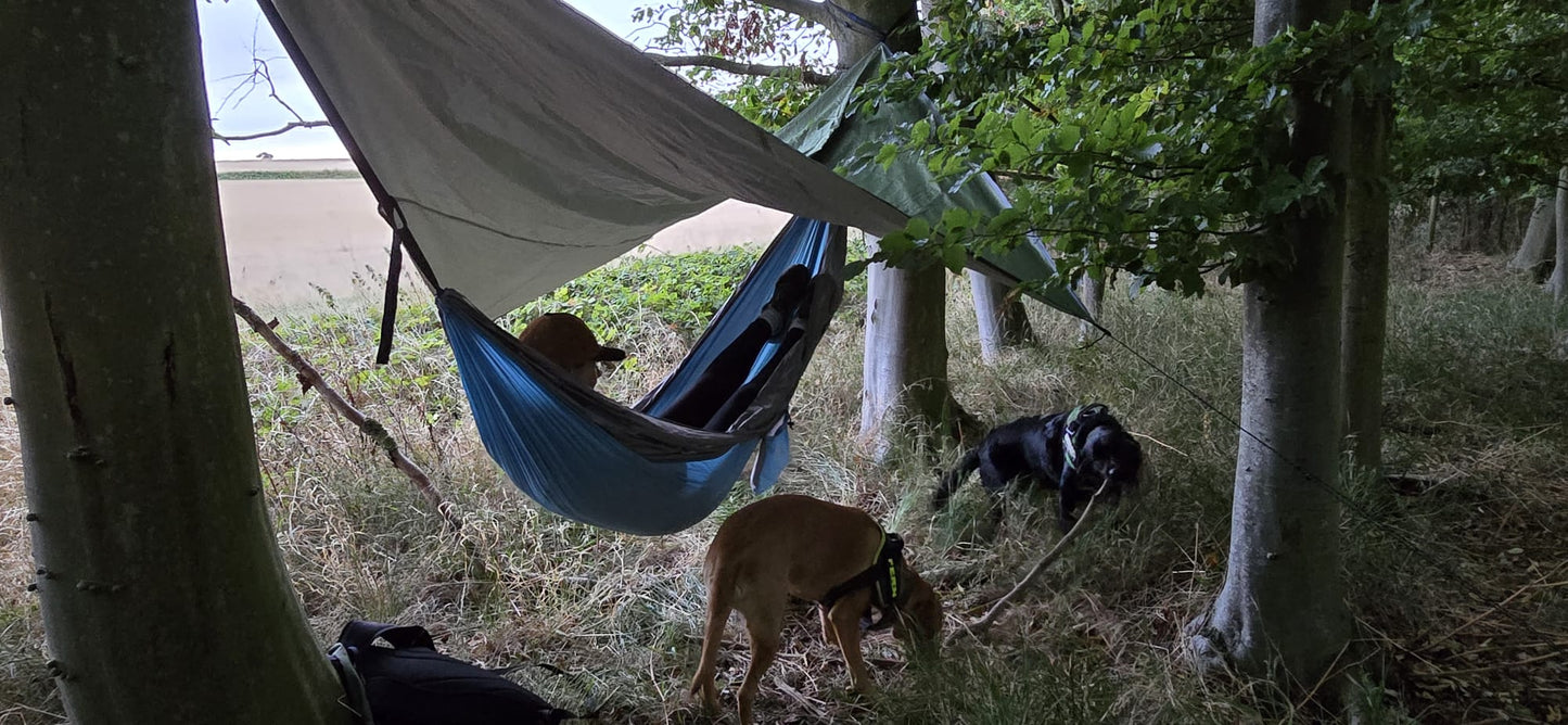 Please note: hammock and dogs not included.